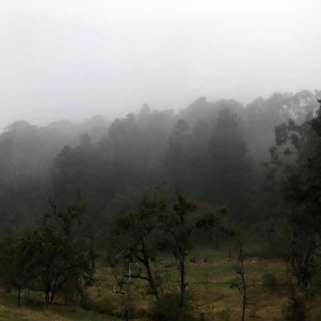 Cabaña romántica en el bosque! Acaxochitlán Exterior foto