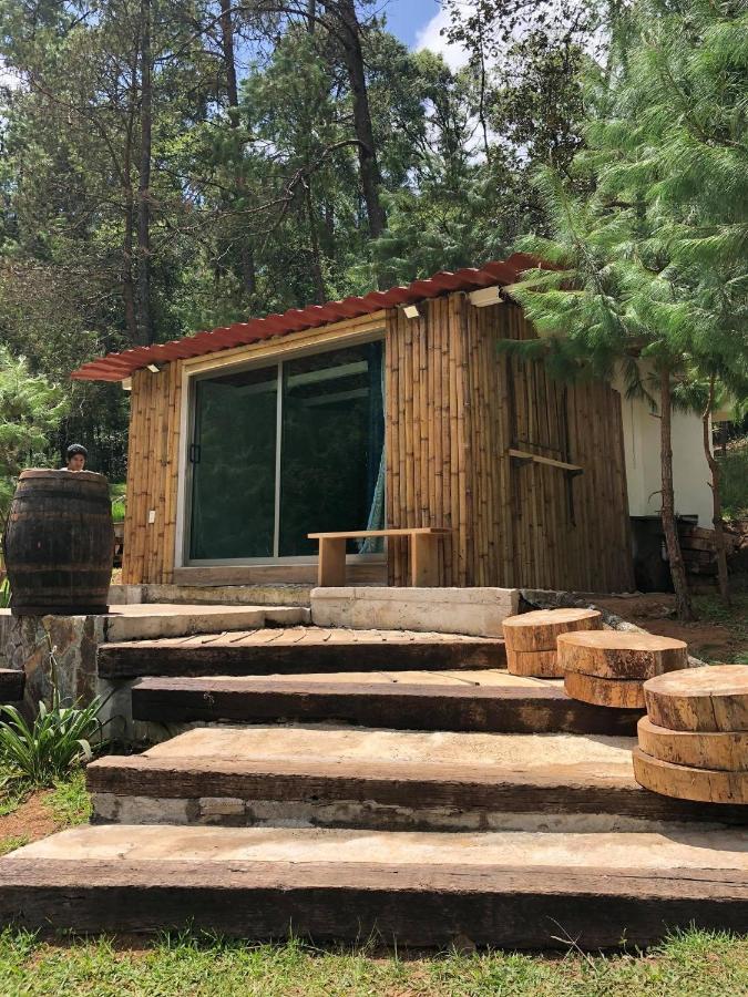 Cabaña romántica en el bosque! Acaxochitlán Exterior foto