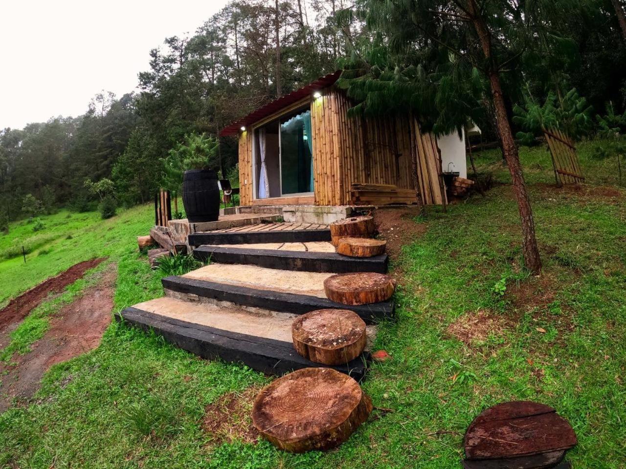 Cabaña romántica en el bosque! Acaxochitlán Exterior foto